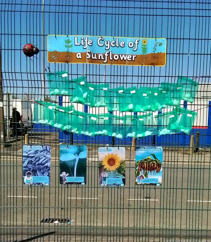 Planting - Nursery in Bury